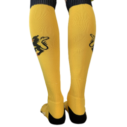 Chaussettes CO - Lion des Frandres