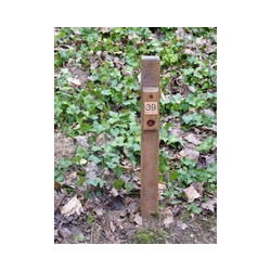 Piquet permanent forêt pour course d'orientation