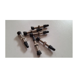 Valve tubeless universelle