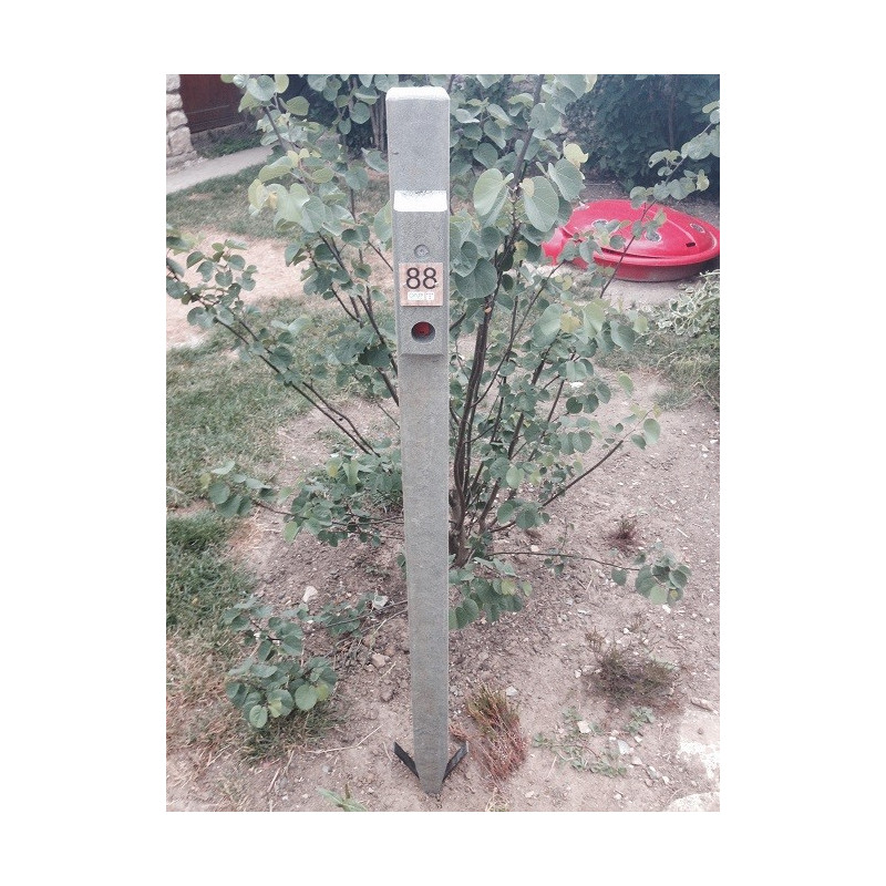 Piquet permanent forêt pour course d'orientation